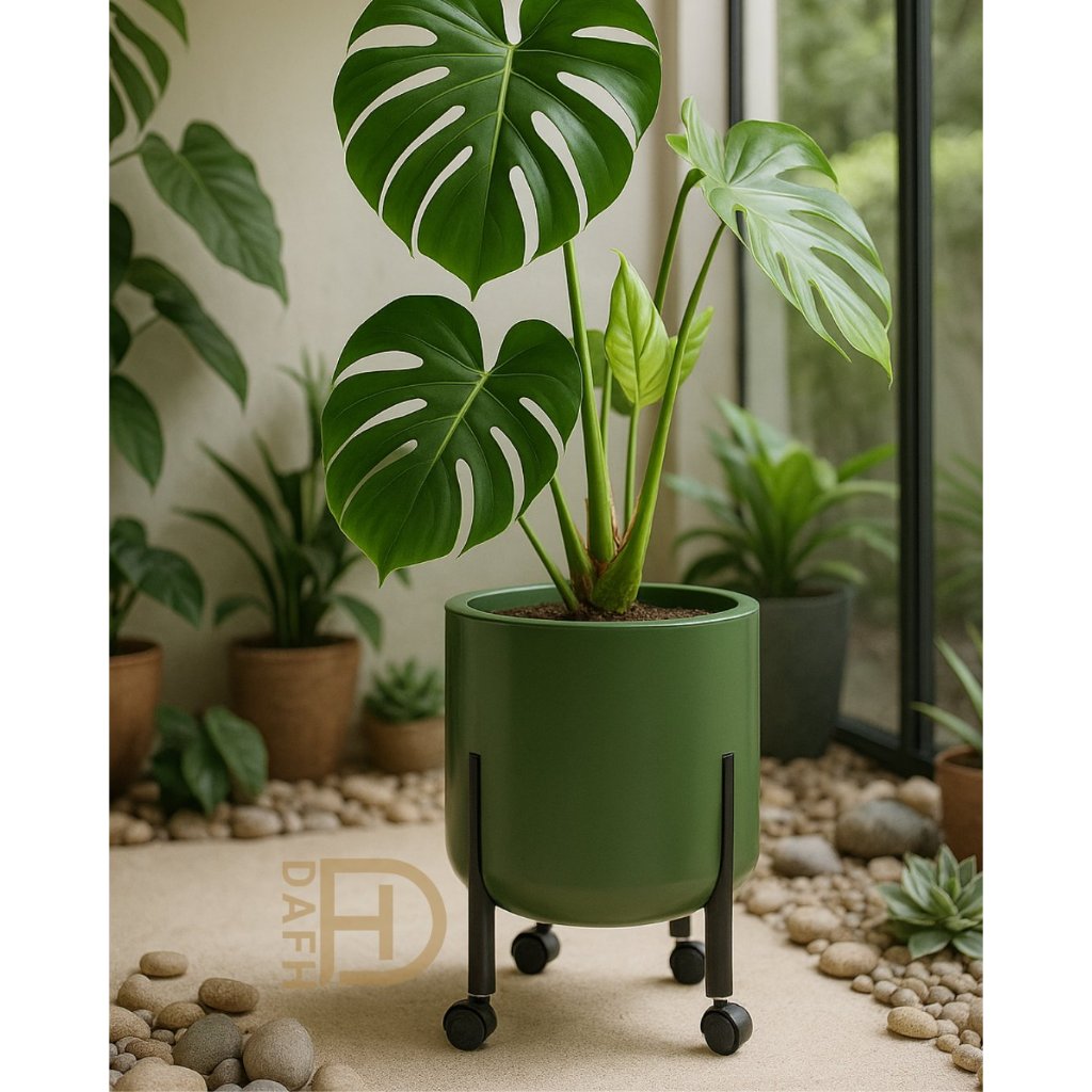 Vaso Fênix Plástico Grande Com Rodízio para Plantas e Flores 36cm x 33cm Cachepô Anti-Dengue