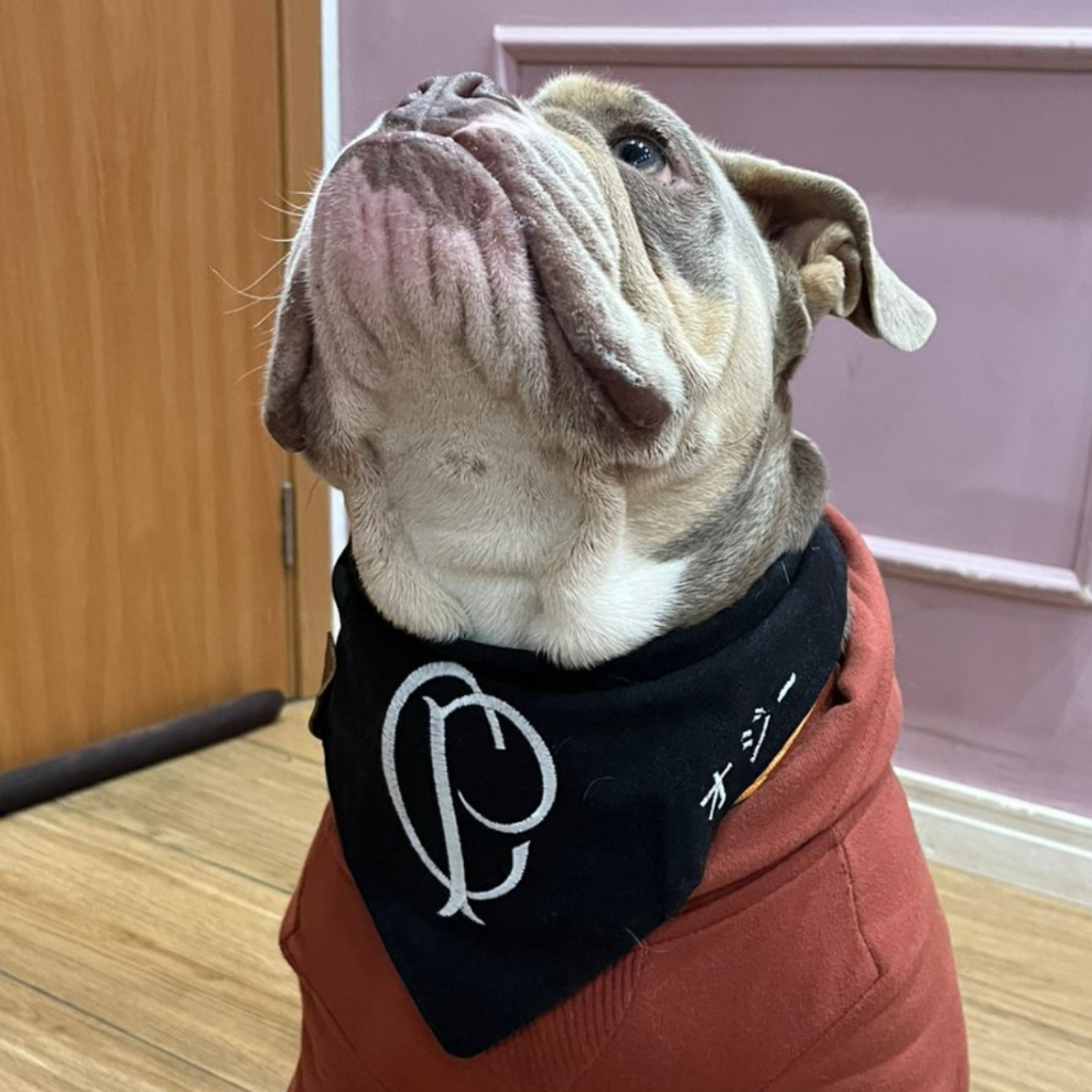 Bandana Pets Corinthians - Com Nome personalizado na lateral - Várias Cores e Tamanhos P, M, U, G, GG