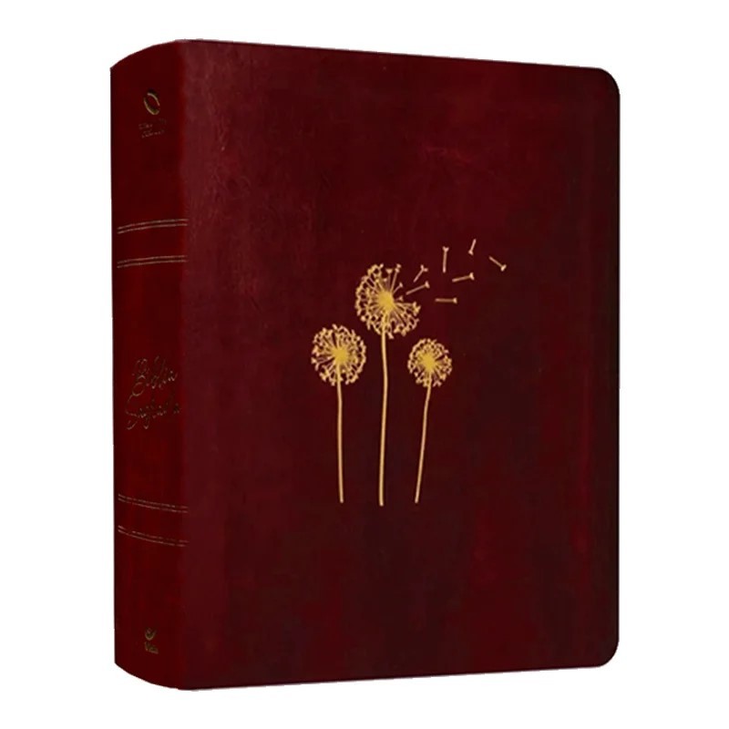 Bíblia Mulheres - Viviane Martinello - NAA - Sopro Divino em Oferta na Shopee