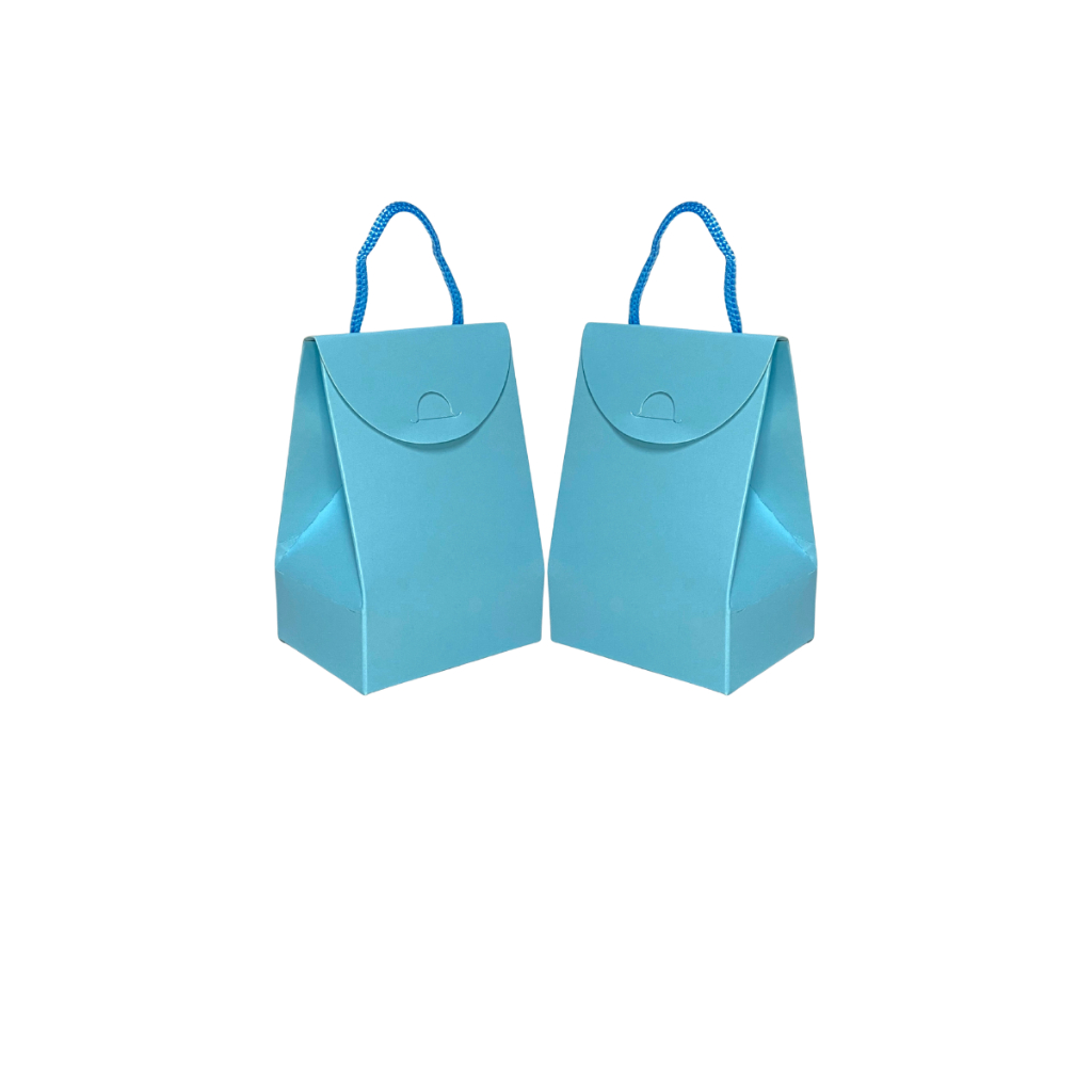 Sacola Presente Lembrancinha Loja e Biju Diversas Cores