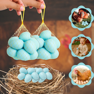 Ovo Azul Falso Brincadeira Galinheiro de Plastico Indez Galinha Enfeite em Oferta na Shopee