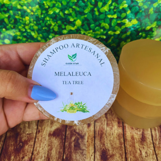 Shampoo Sólido de Melaleuca (Tea Tree) Vegano Controle de Queda, Caspa, Dermatite Seborreica, Oleosidade e Irritações em Oferta na Shopee