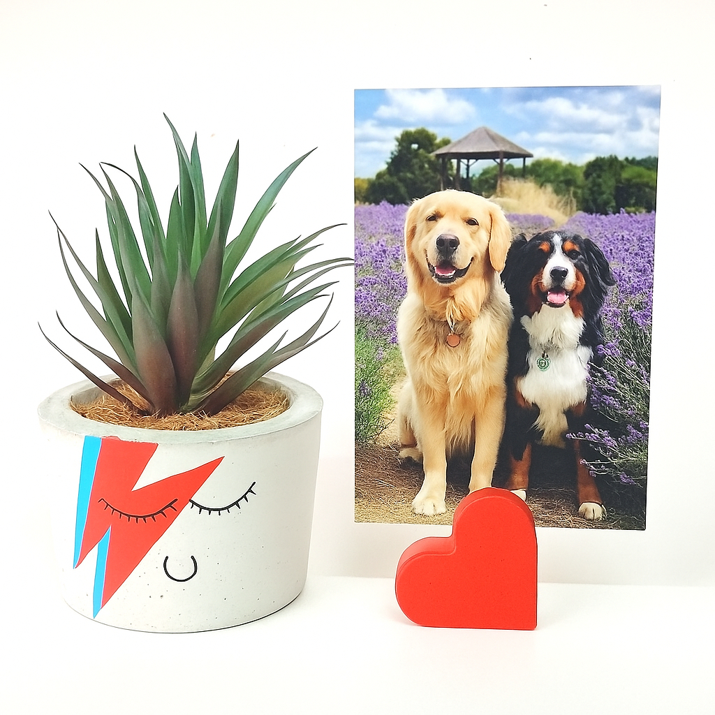 Vasinhos Cimento: Onde Comprar | BuscaProdutos