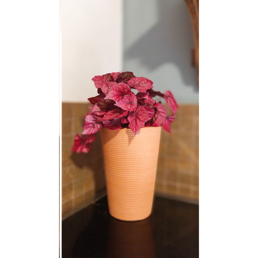 Vaso de Barro Cone Decorativo Para Planta Cachepot
