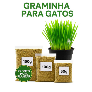 Mix de Sementes para Plantio Graminha para Gatos e Cães (50g, 100g, 150g) em Oferta na Shopee