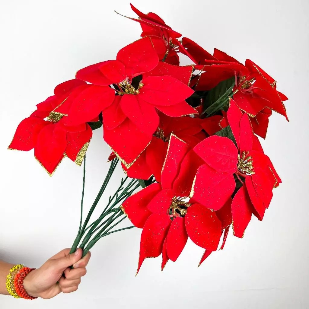 Bordas de Flores: Onde Comprar | BuscaProdutos