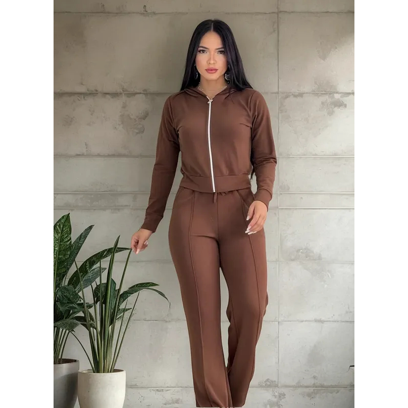 Conjunto Feminino Moletinho Com Capuz Confortavél Moda- Outono Inverno