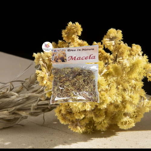 Macela - Erva Seca/ Erva in Natura
