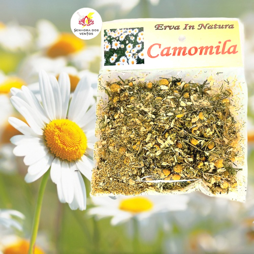 Camomila - Erva Seca/ Erva in Natura