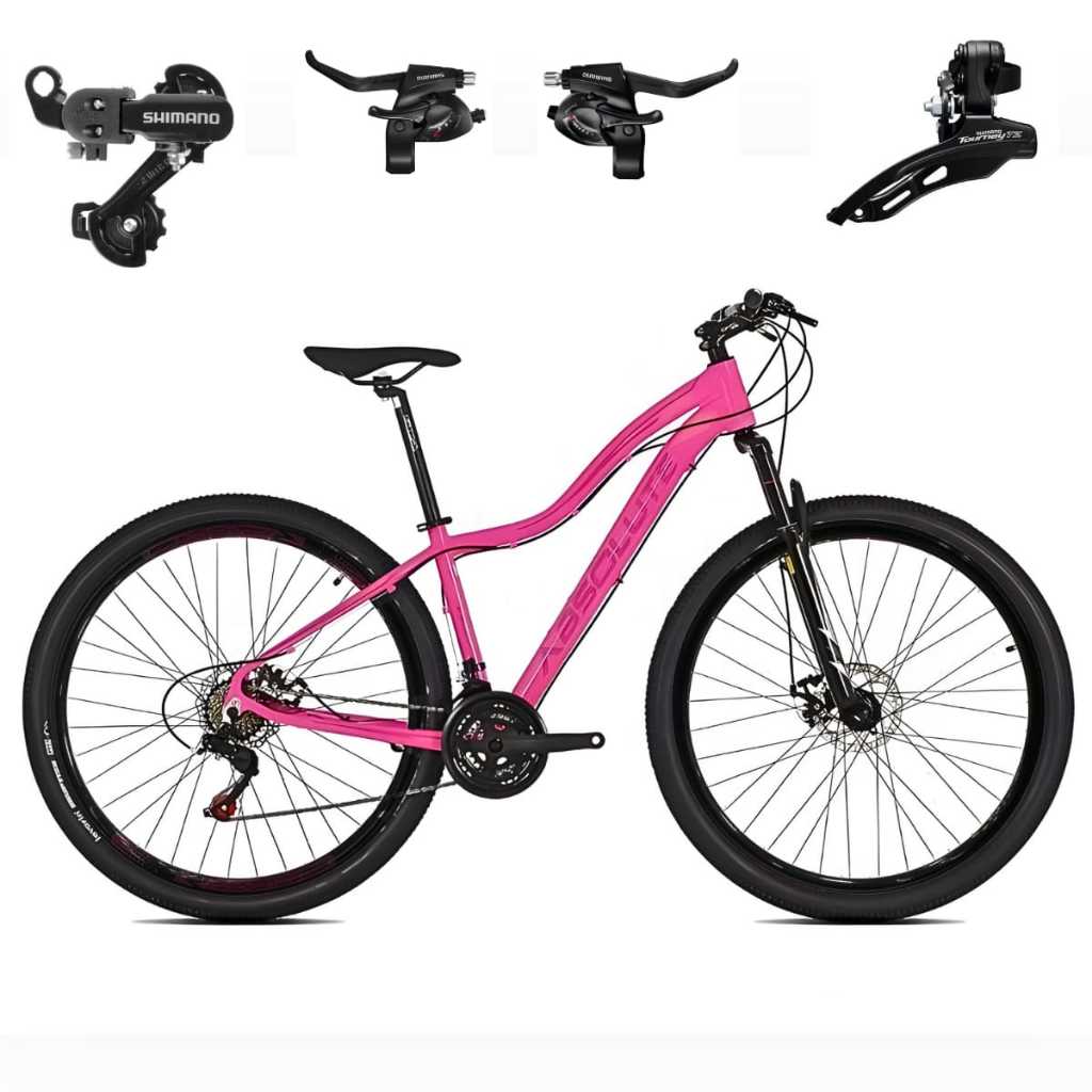 Bicicleta 29 Absolute Hera Shimano 21V Freio Disco Câmbio Traseiro Dianteiro e Trocadores Shimano