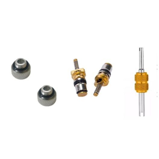 Kit  Tampa Elimina Vazamentos Válvula + Saca Renault Logan Sandero Kwid