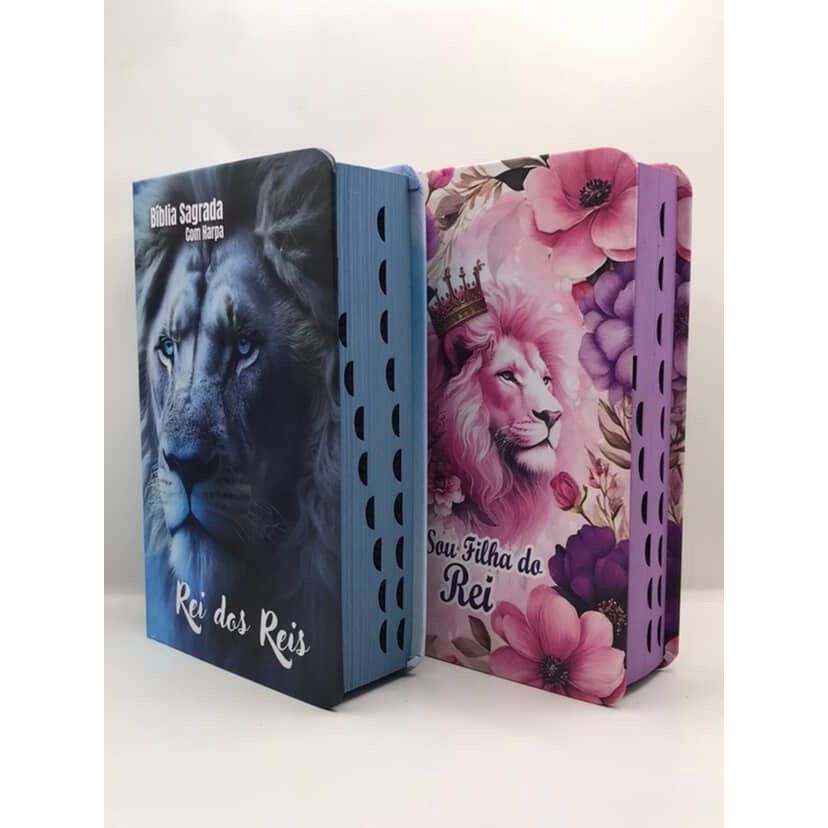 Kit 2 Bíblias Sagrada Tamanho Médio 12,5x19 cm Com Harpa Palavras de Jesus em Vermelho (Kit 29) em Oferta na Shopee