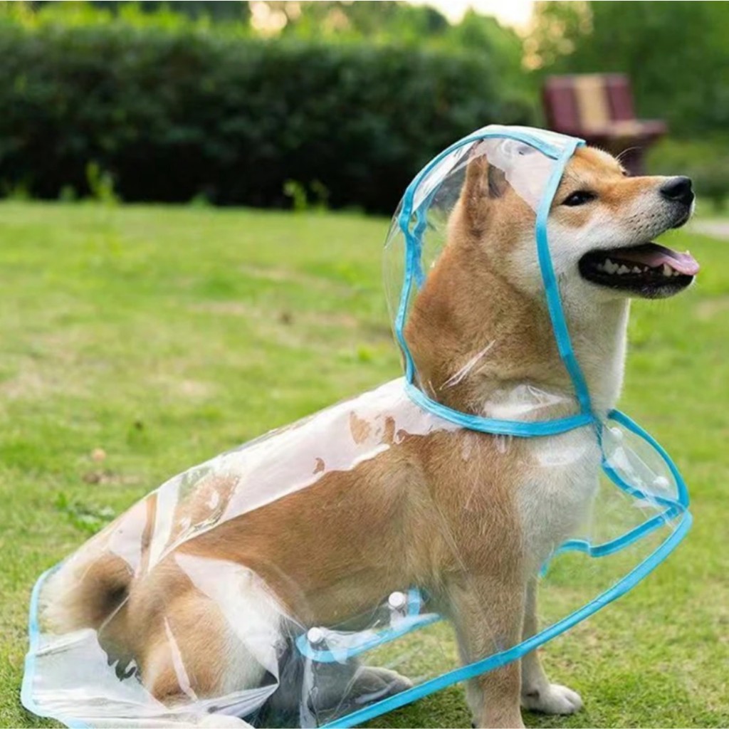 Capa De Chuva Para Cachorro Pet Impermeável Protege No Passeio Todos Os Portes LR-0180