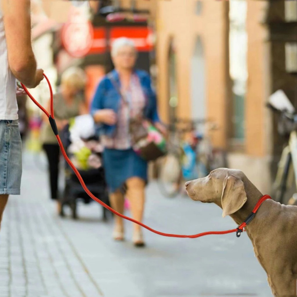 Coleira Guia Enforcador Unificada Corda Adestramento Anti Puxão Cães Grande Médio Pequeno Porte LR-0184