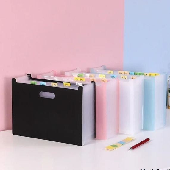 Pasta Arquivo Expansível 12 Divisórias Organizadora Documentos Sanfonada Multiuso ref: XB5432x em Oferta na Shopee