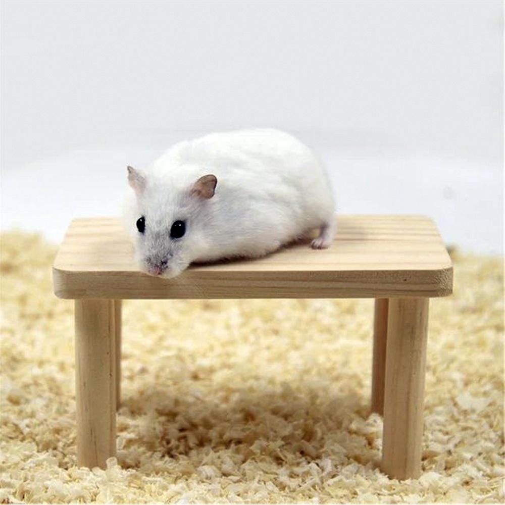 Plataforma de Descanso para Hamster e Mini Roedores 10x18x10cm em Madeira Natural para Animais de Estimação Pequenos