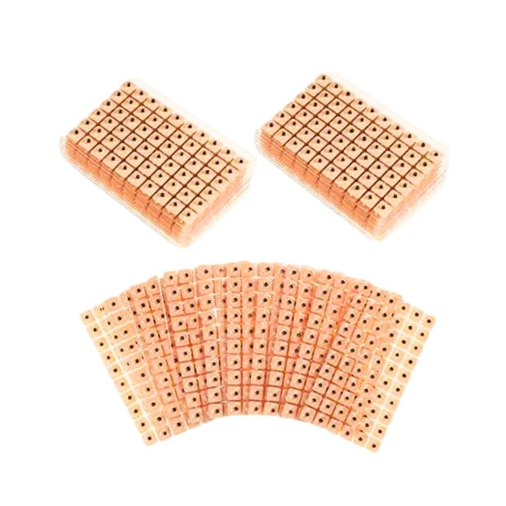 5 Placas pontos de Sementes para Auriculoterapia - Acupuntura (KIT com 300 sementes) em Oferta na Shopee