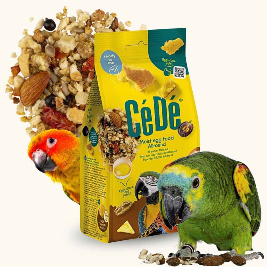 Ovo 200g: Guia Completo e Onde Comprar | BuscaProdutos