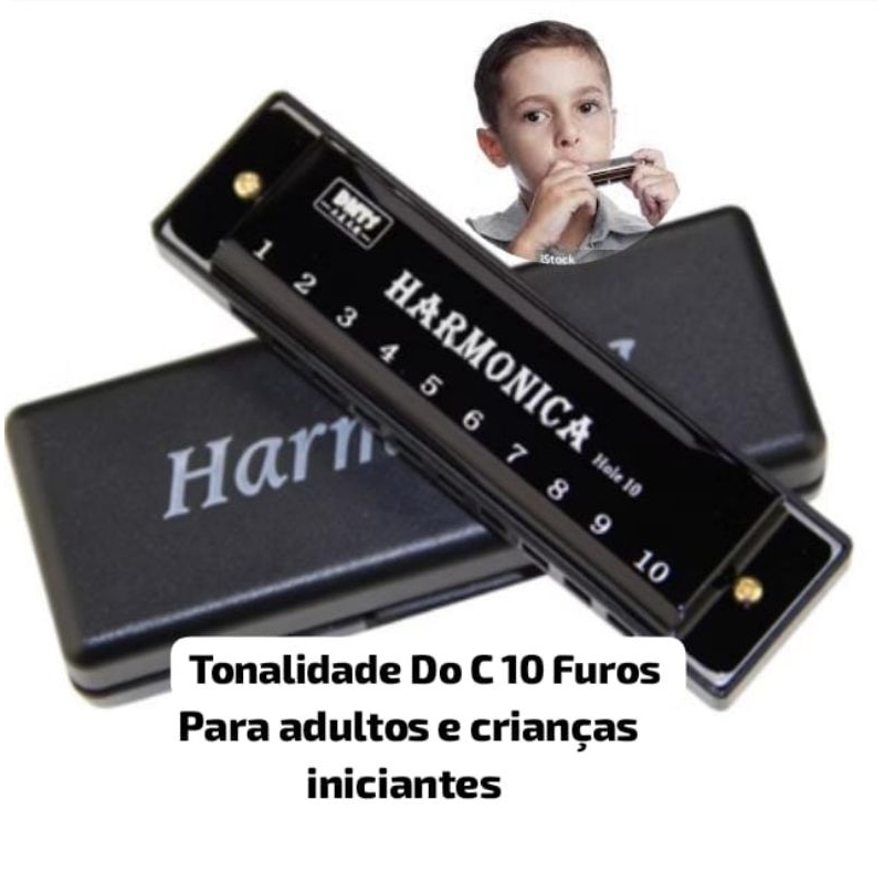 Gaita Harmônica 10 Furos Diatônica em Dó C Instrumento Musical Iniciante Blues Portátil preta