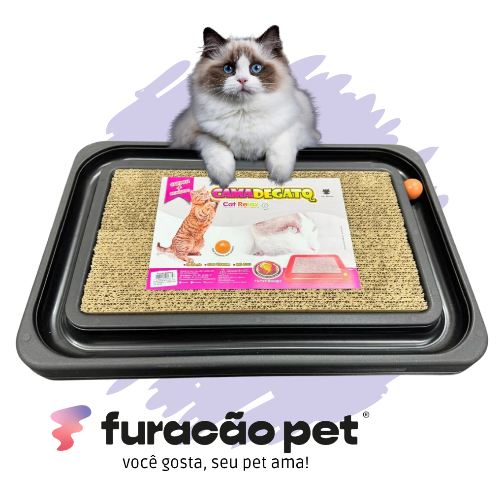 Arranhador Gato com Bolinha Cama de Gato Cat Relax Furacão Pet Médio Interativo Anti-Stress em Oferta na Shopee