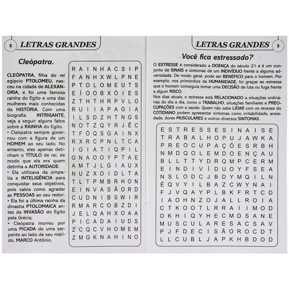 Scottini Caça-palavras | Letras Grandes | 2010 | Capa Verde · foto 2
