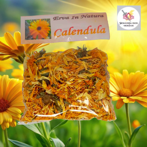 Calêndula - Erva Seca/ Erva in Natura