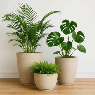 Vaso de Plantas Kit com 3 Coluna Bojo N1 e N2 + Bacia N1 Escovado, Plantas, Flores, Varanda Casa Interior e Exterior