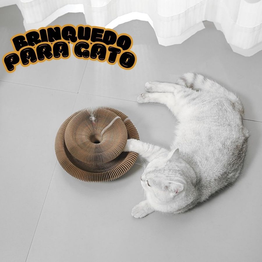 Brinquedo para Gatos de Apartamento: Onde Comprar | BuscaProdutos