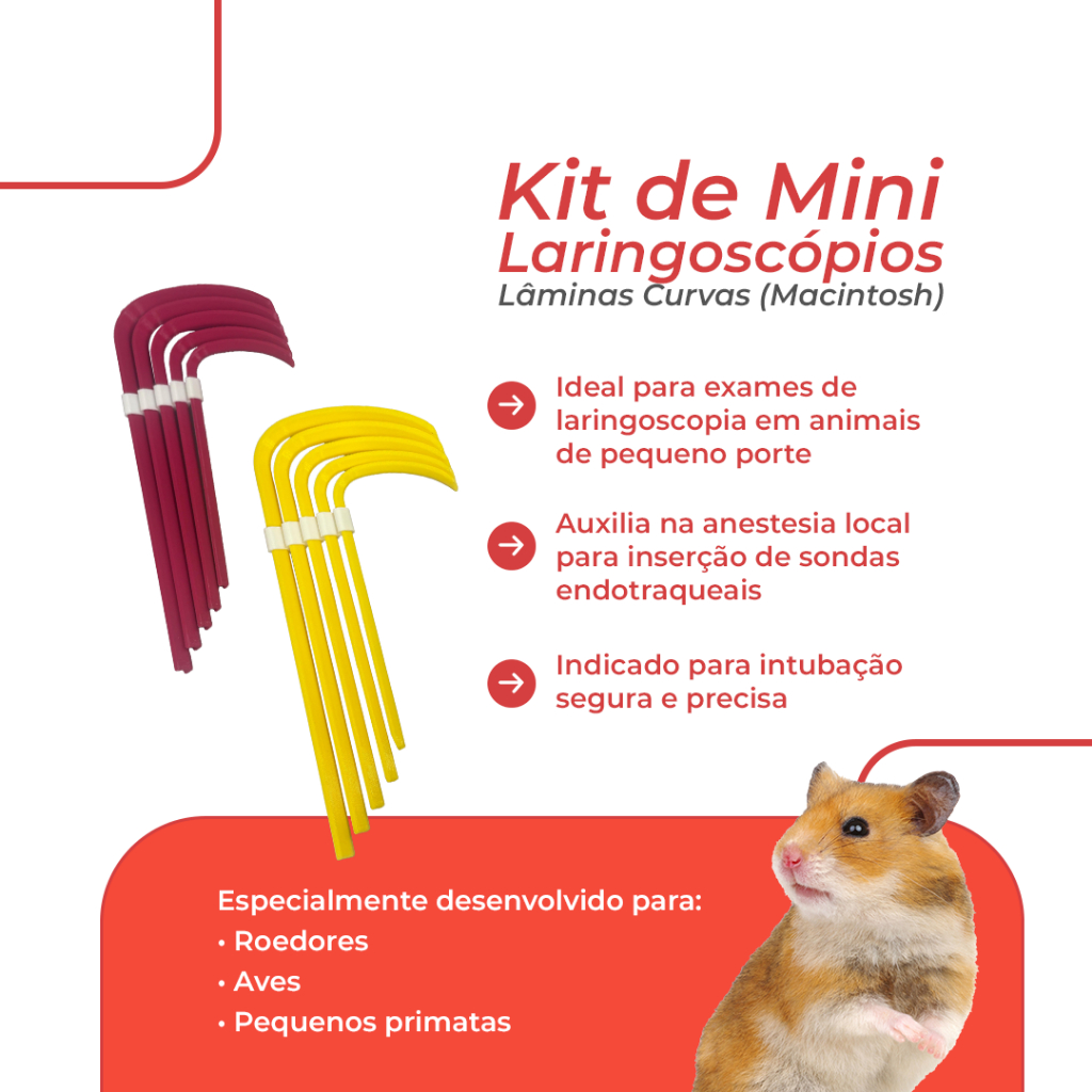 Kit Macintosh: Guia Completo e Onde Comprar | BuscaProdutos