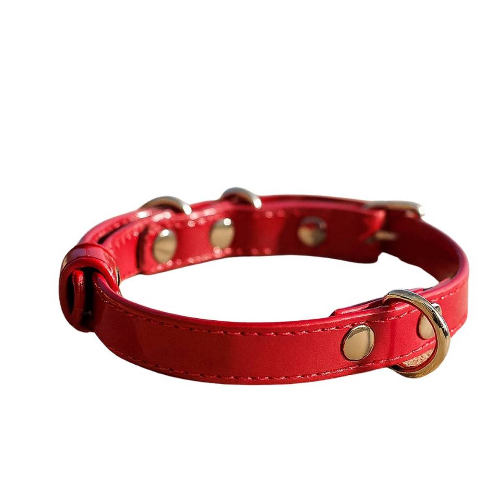 Coleira Vermelho Verniz para Cachorro em Couro Legítimo Brilhoso Brilhante Pug Yorkshire