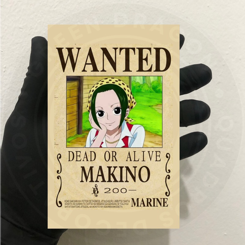 Mini Quadros Wanted One Piece Makino Mini Placas Decorativas Wanted One Piece Makino 10x15 cm