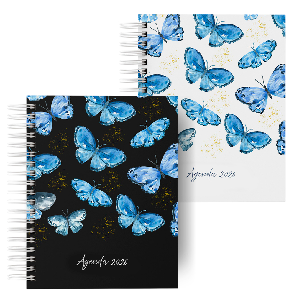 Agenda de Anotações Feminina: Onde Comprar | BuscaProdutos