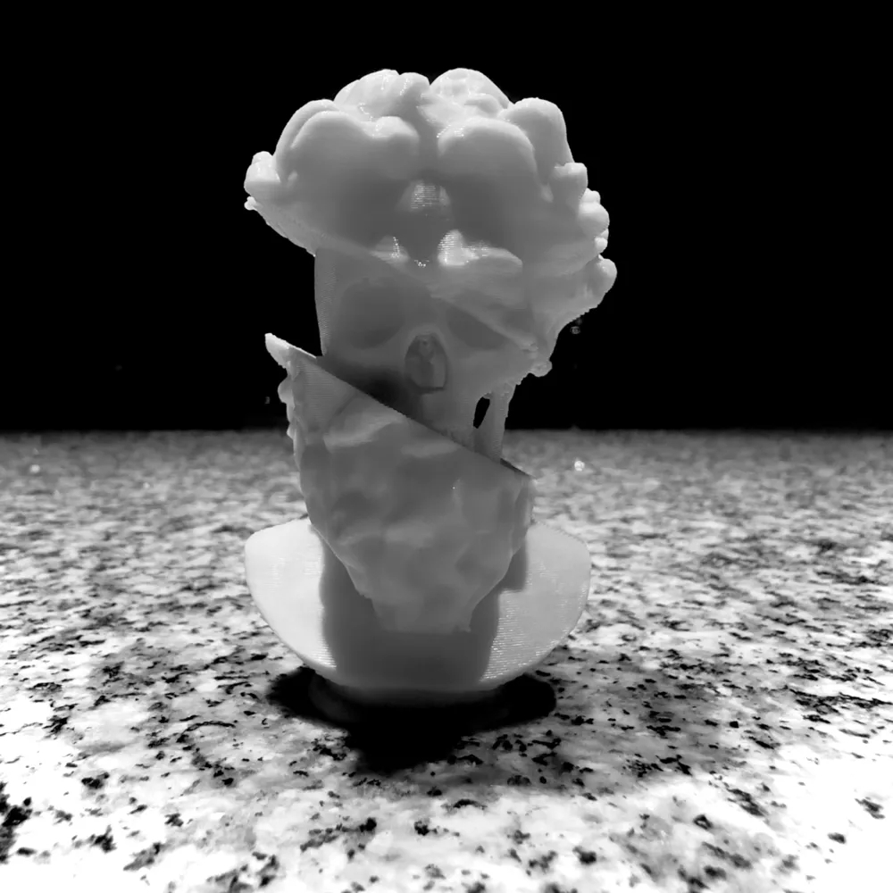 Escultura de Cabeça/Crânio 3D - peça Decorativa p/ Casas, Quartos, Prateleiras, Estantes, etc