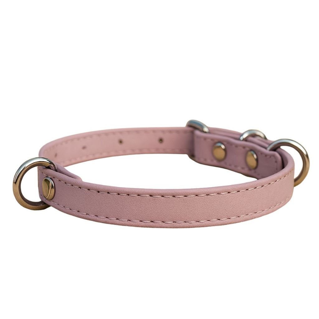 Coleira Cachorro Colar Couro Legítimo Passeio Bonita Resistente Linda Delicada Artesanal Filhote Pet