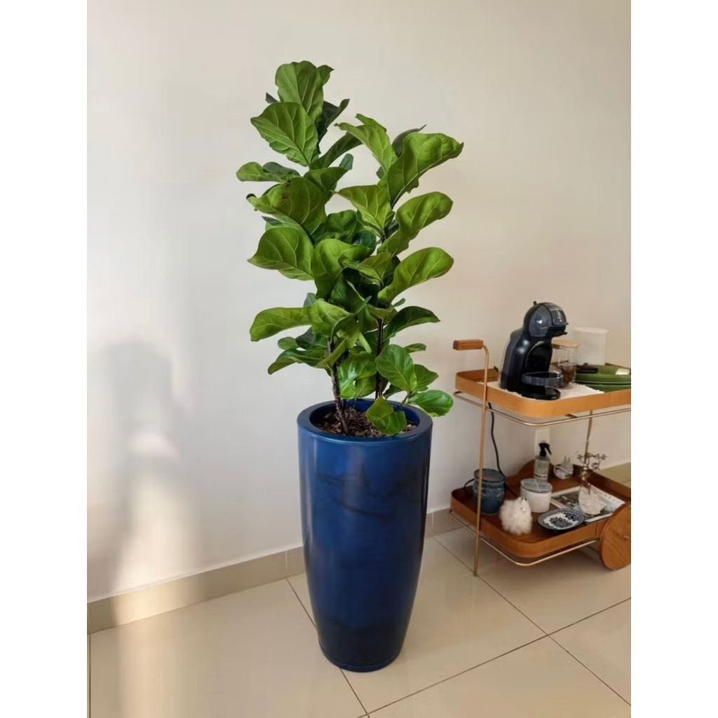 Vaso Grande Decorativo liso Para Plantas Coluna Redonda Polida e Marmorizada Com Prato N4(383) em Oferta na Shopee