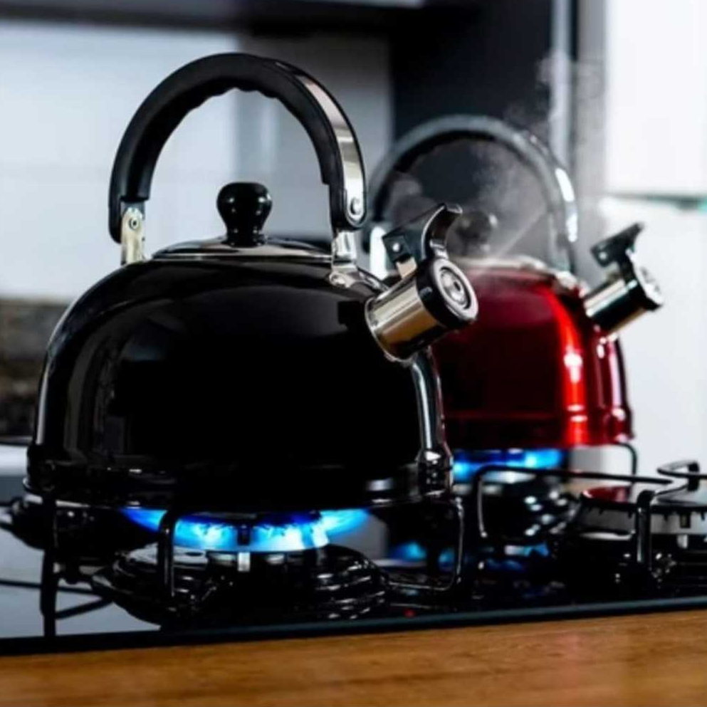 Chaleira Inox com Apito Ferve Rápido Fogão Gás Indução Elétrico varias cores em Oferta na Shopee