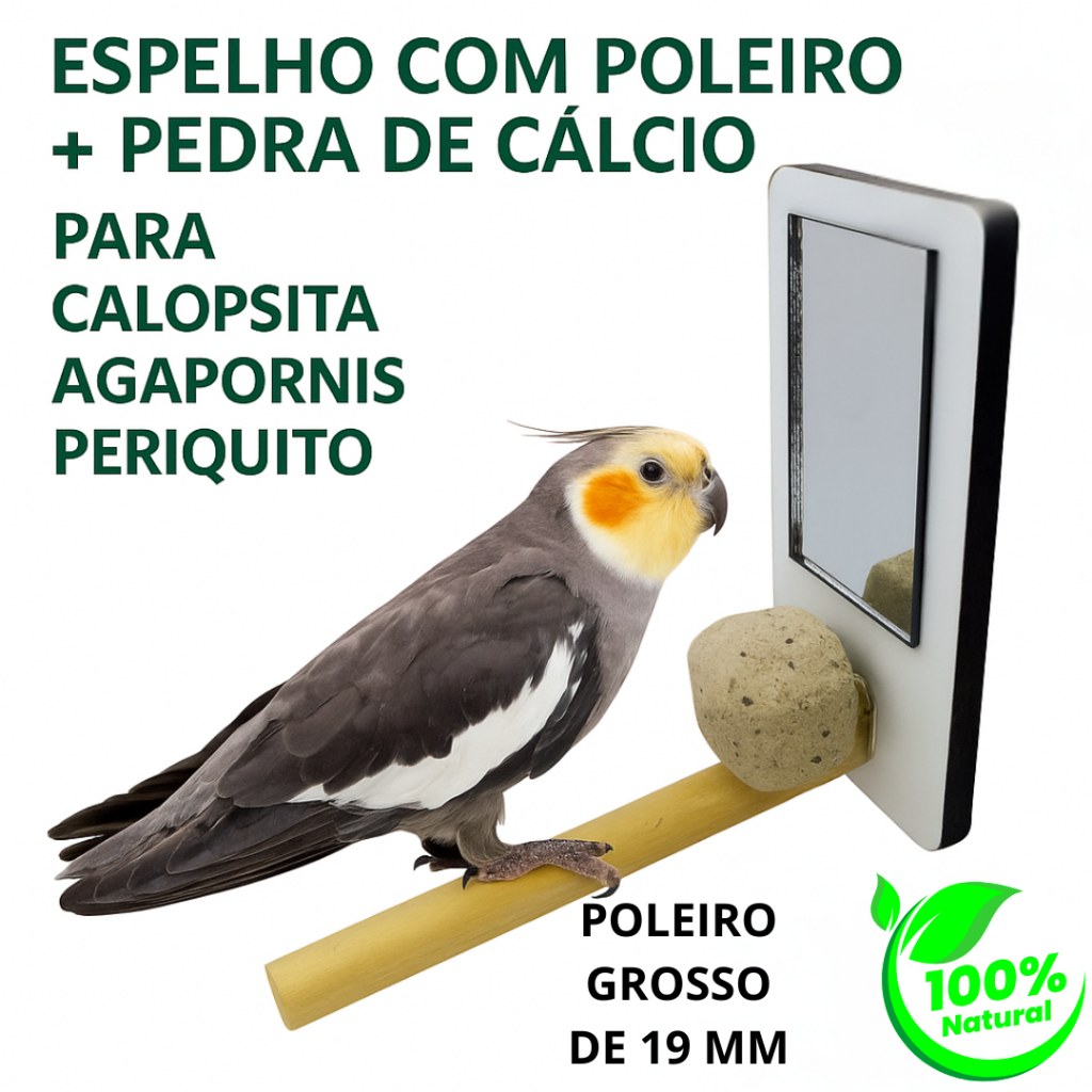 espelho gaiola calopsita com Poleiro e pedra de cálcio acessorio para passaros e brinquedo passaro