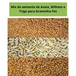 Mix de Sementes para Graminha pet p/ gatos e cachorros – Aveia, Milheto e Trigo – Fácil Cultivo e Digestão Natural