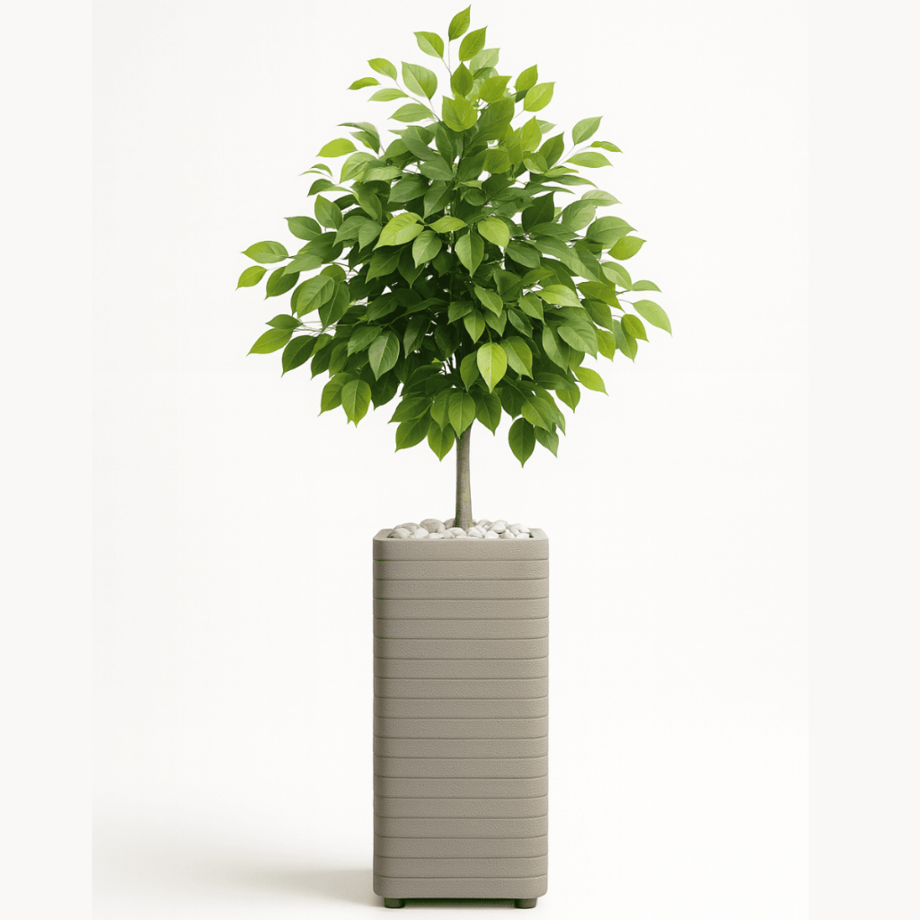 Planta Artificial Decoração + Vaso Decorativo Cinza Para Sala Casa Decoração Escritório em Oferta na Shopee