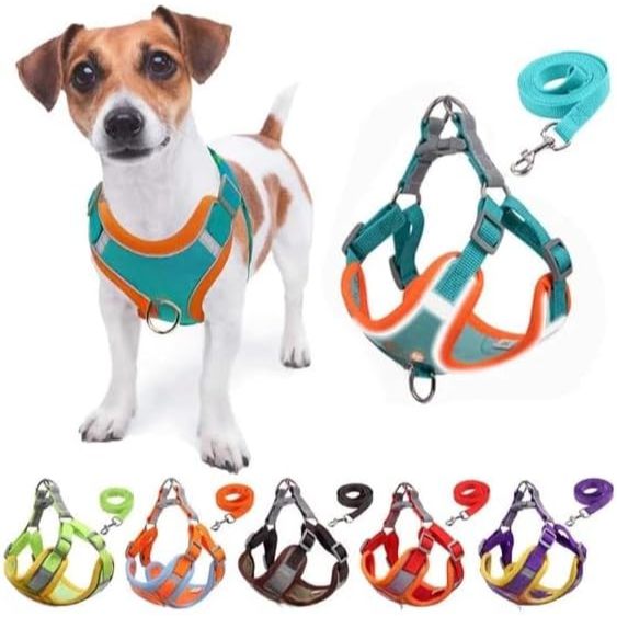 Coleira Peitoral Cachorro E Gato, Conjunto De Guia + Coleira Tipo Colete Para Pet Pequenos E Médios IMPERIO