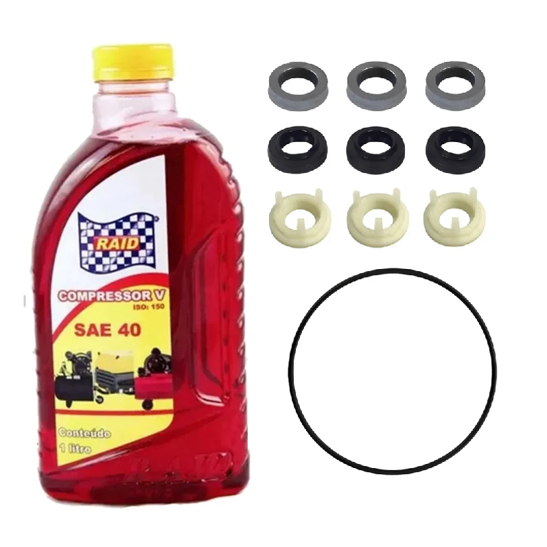 Kit Reparo Gaxeta + Anel Raspador + Apoio + Oring Do Carter E Óleo Lavadora Hd585