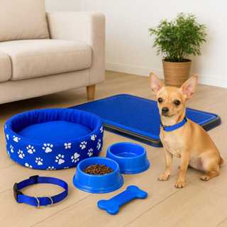 Kit Para Pet Coleira De Pescoço Sanitário Caminha Para Cachorro Pequeno em Oferta na Shopee