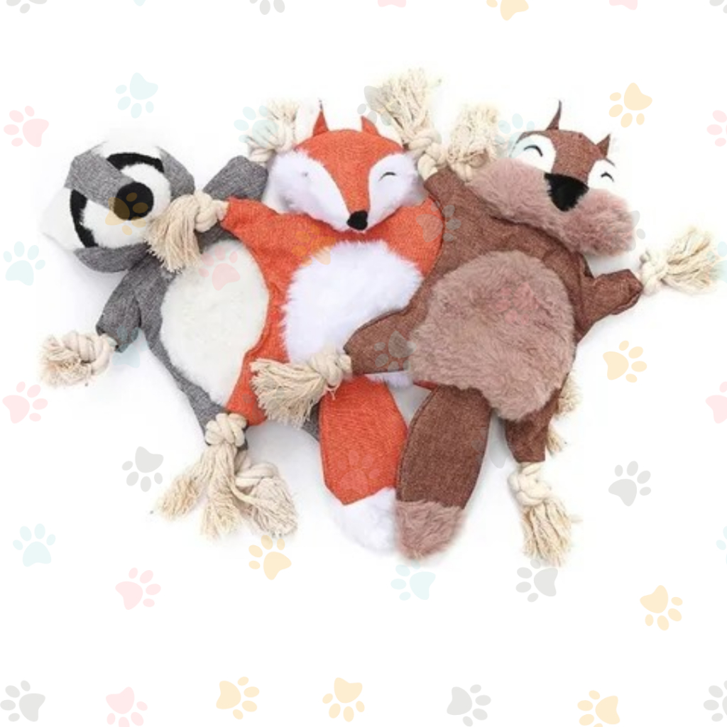 Lulu Cachorro: Guia Completo e Onde Comprar | BuscaProdutos