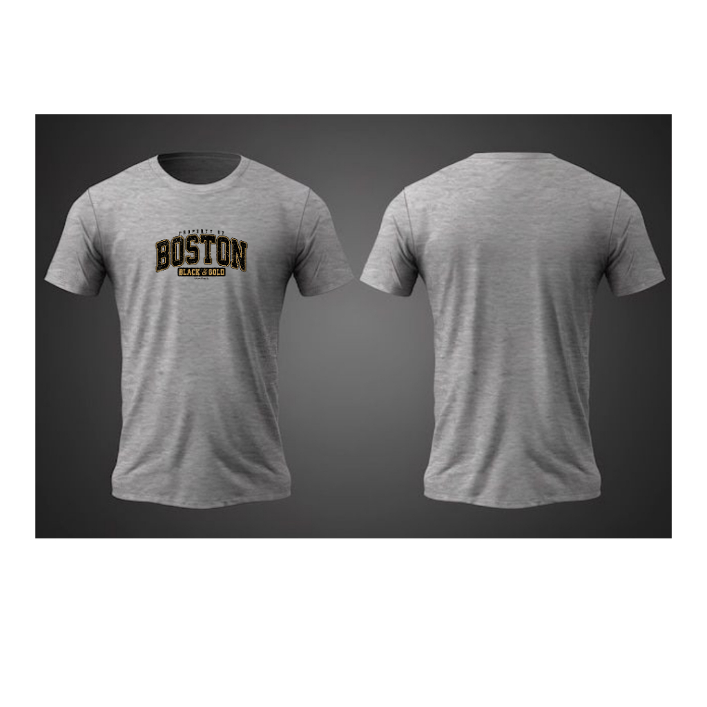 Camiseta Boston Streetwear Camisa Algodão Lançamento Masculino e Feminino 100% Algodão