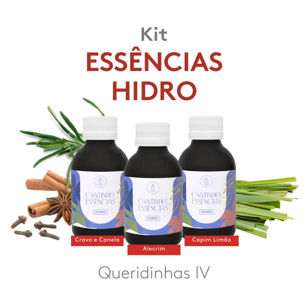 Kit Essências Queridinhas Hidro IV 100ml - Home Spray, Difusor Elétrico, Umidificador de Ambiente
