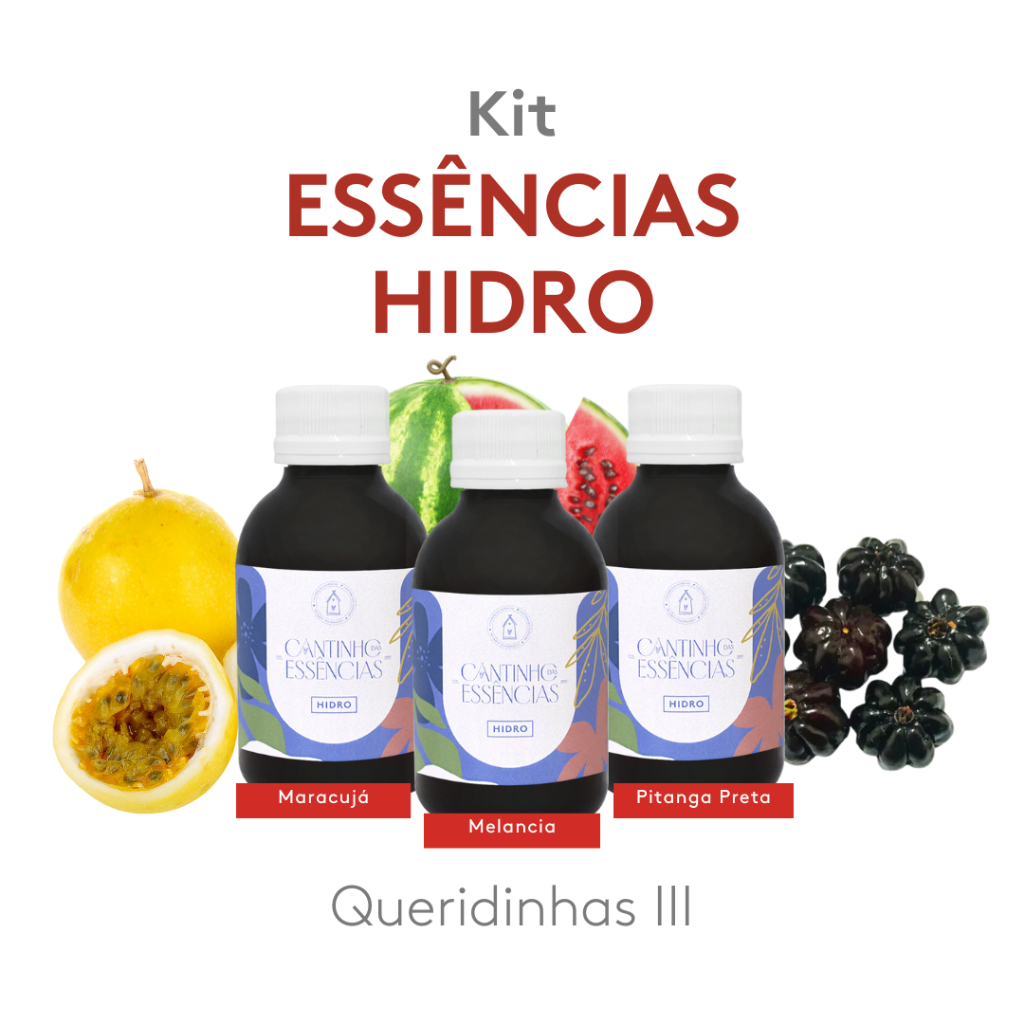 Kit Essências Queridinhas Hidro III 100ml - Home Spray, Difusor Elétrico, Umidificador de Ambiente