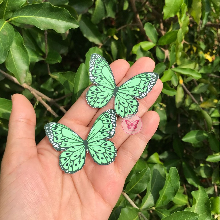 Buquê de Borboletas Verde: Onde Comprar | BuscaProdutos