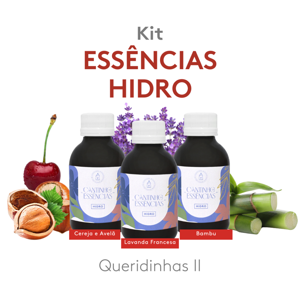 Kit Essências Queridinhas Hidro II 100ml - Home Spray, Difusor Elétrico, Umidificador de Ambiente