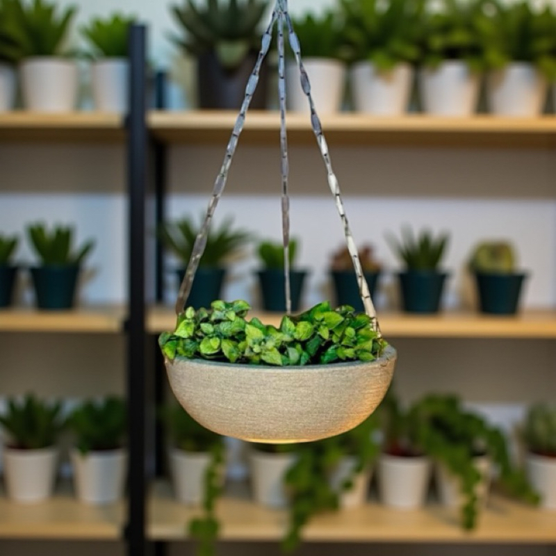 Vaso para decoração e plantas em Polietileno - Bacia M com Corrente para Pendurar