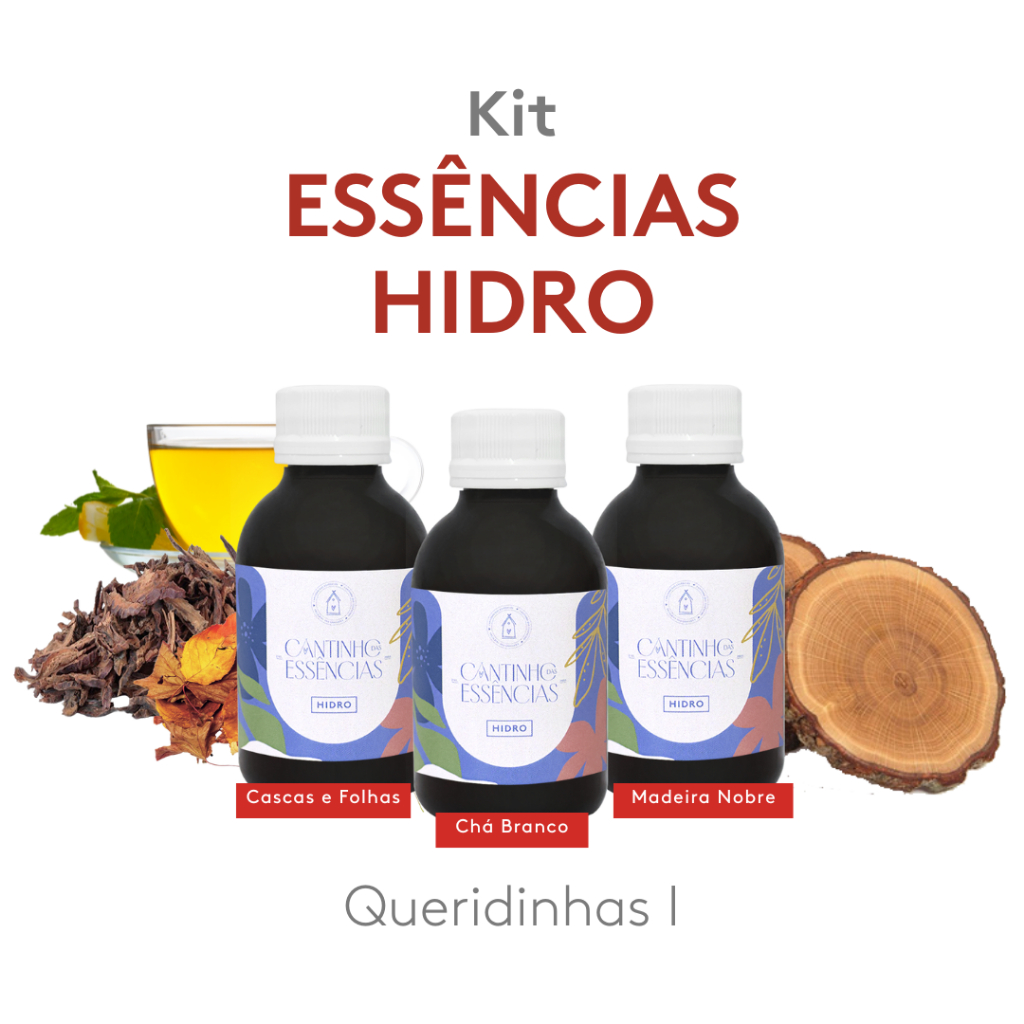 Kit Essências Queridinhas Hidro I 100ml - Home Spray, Difusor Elétrico, Umidificador de Ambiente